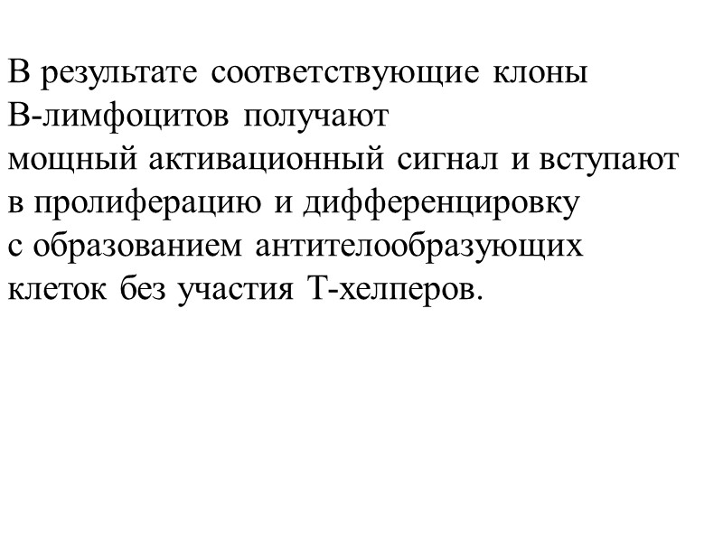 В результате соответствующие клоны В-лимфоцитов получают  мощный активационный сигнал и вступают в пролиферацию